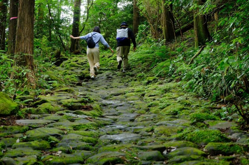 Hakone Hachiri: Old Tokaido Highway Hiking Tour - Not Included in the Tour