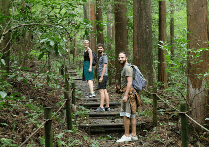 Hakone Hachiri: Old Tokaido Highway Hiking Tour - Getting to the Starting Point