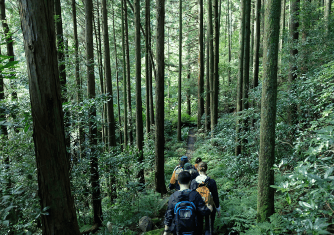 Hakone Hachiri: Old Tokaido Highway Hiking Tour - Exploring the Hakone Hachiri