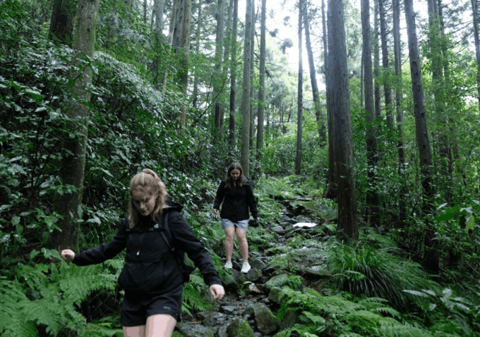 Hakone Hachiri: Old Tokaido Highway Hiking Tour - Frequently Asked Questions