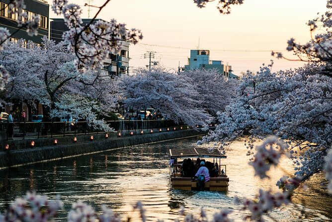 Hakone Lake Ashi Cruise Hot Bath Private Sightseeing Trip - Pickup and Drop-off Details