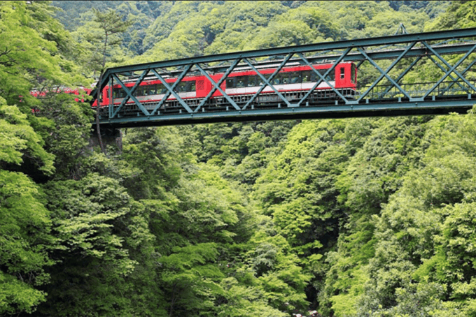 Hakone: Lake Ashi Cruise With Shrine, Hot Springs & Mt. Fuji - Cruise on Lake Ashinoko