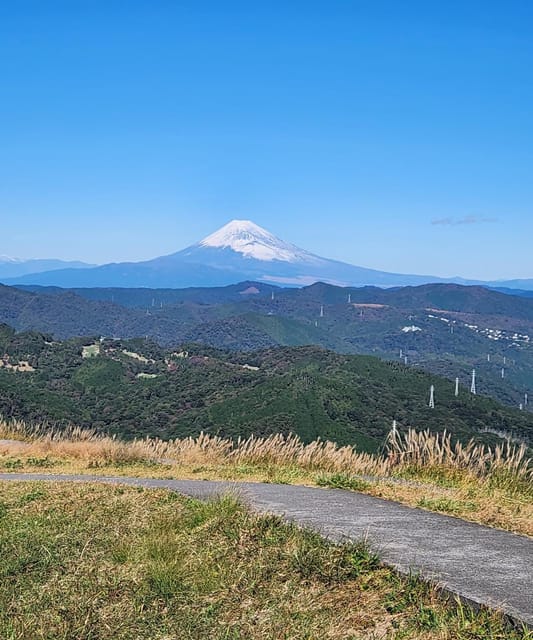 Hakone One Day Private Tour With English Speaking Driver - Itinerary Overview