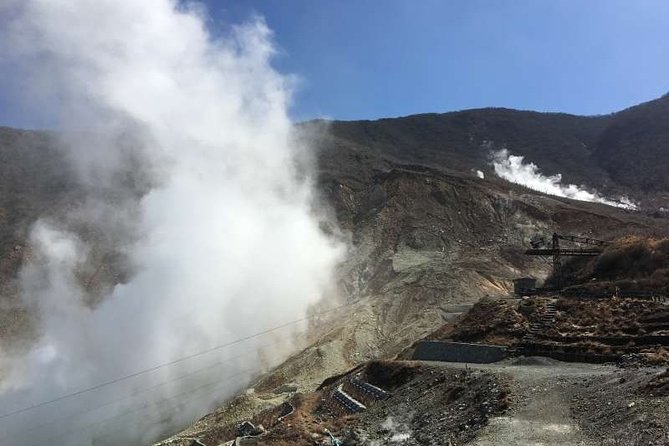 Hakone One Day Tour - Pickup and Meeting Point