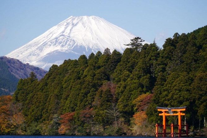 Hakone Pirate Ship, Owakudani Ropeway, Fuji 2nd Station Snow Sledding Day Trip - Accessibility and Participation