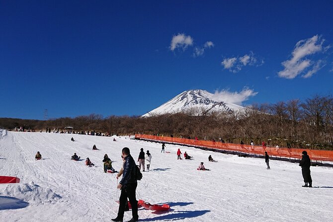 Hakone Pirate Ship, Owakudani Ropeway, Fuji 2nd Station Snow Sledding Day Trip - Pirate Ship Adventure
