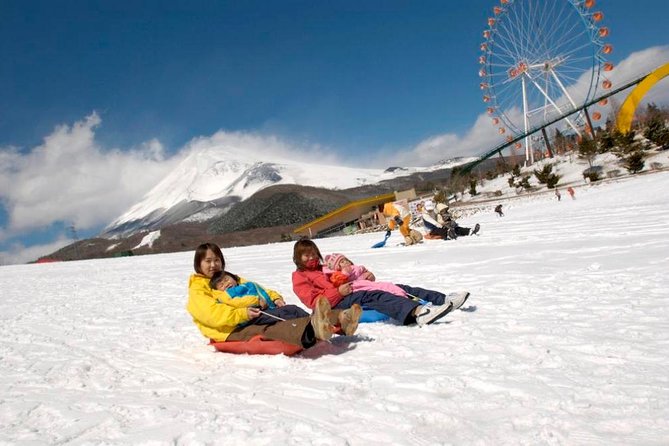 Hakone Pirate Ship, Owakudani Ropeway, Fuji 2nd Station Snow Sledding Day Trip - Tour Feedback and Highlights
