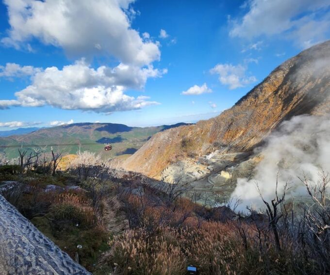 Hakone Private Day Tour With English Speaking Driver - Hotel Pickup and Drop-off