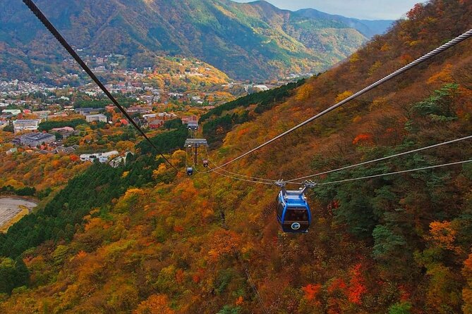 Hakone Private Day Trip With English Speaking Driver From Tokyo - Tips for a Memorable Hakone Experience