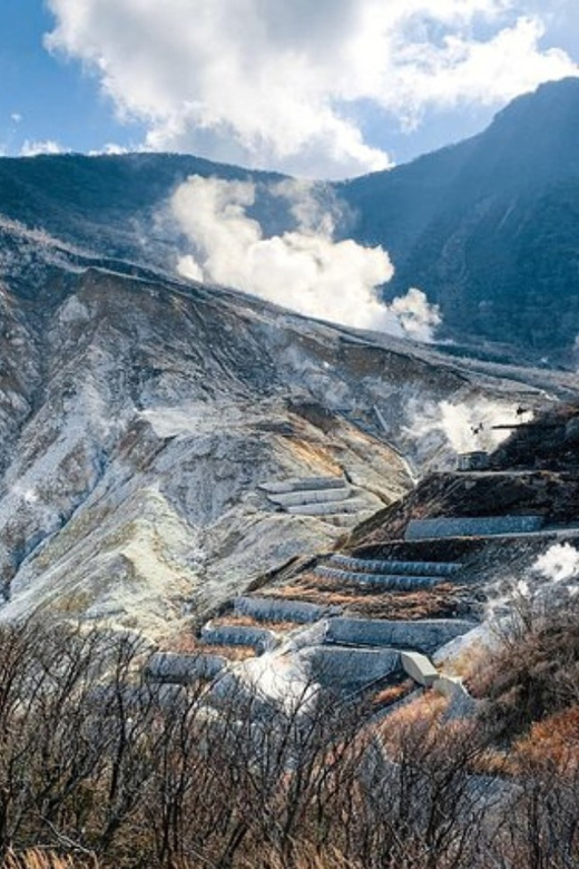 Hakone: Private Sightseeing Tour With English-Speaking … - Hakone Ropeway