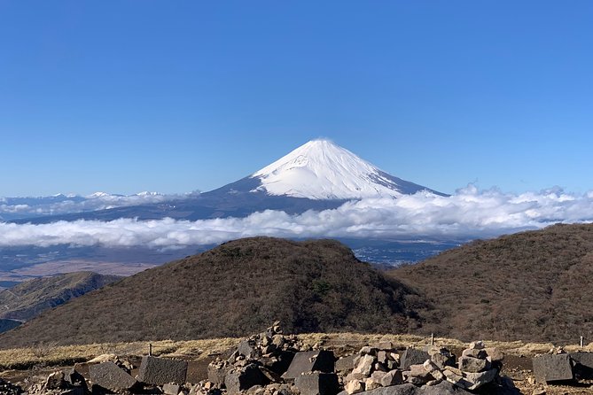 Hakone Private Two Day Tour From Tokyo With Overnight Stay in Ryokan - Tour Requirements