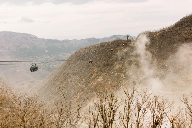 Hakone Private Two Day Tour From Tokyo With Overnight Stay in Ryokan - Booking Confirmation