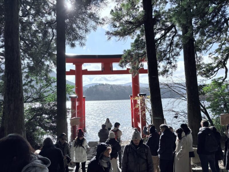 Hakone: Relaxing Hot Springs and Scenic Lake Cruise - Hotel Pickup Locations