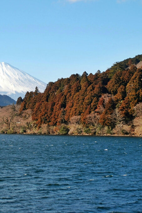 Hakone: Self Guided Trip to Mt. Fuji // Made by Local Guides - Visiting Owakudani Volcanic Valley