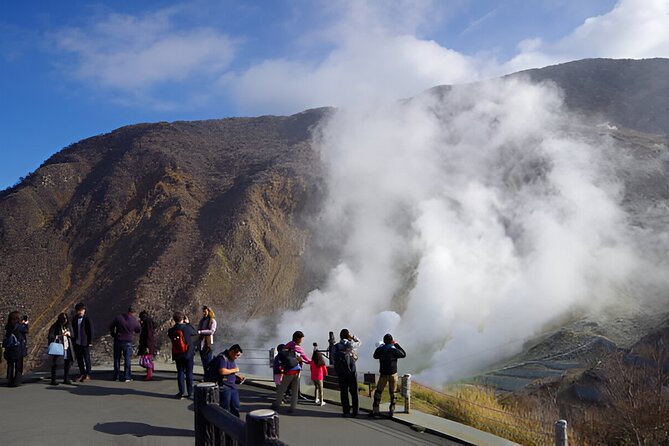 Hakone Sightseeing Private Tour From Tokyo - Pickup Information