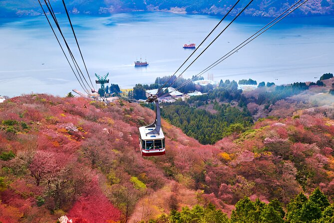 Hakone Sightseeing Private Tour From Tokyo - Accessibility and Requirements