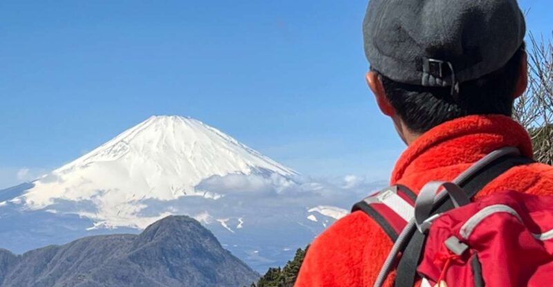 Hakone: Traverse the Hakone Caldera and Enjoy Onsen - Key Points