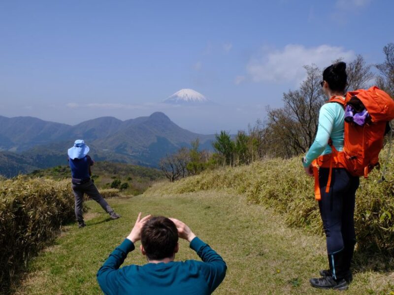 Hakone: Traverse the Hakone Caldera and Enjoy Onsen - Hiking Experience and Challenges