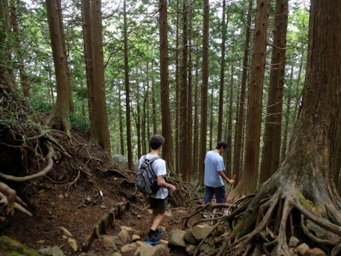 Hakone: Traverse the Hakone Caldera and Enjoy Onsen - Onsen Experience After the Hike