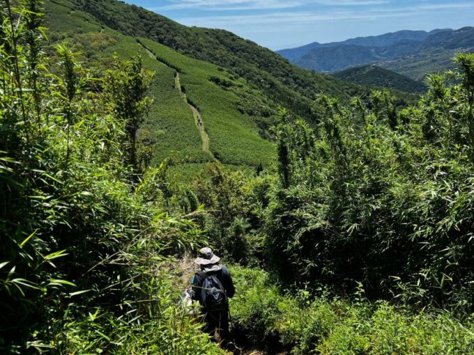Hakone: Traverse the Hakone Caldera and Enjoy Onsen - Frequently Asked Questions