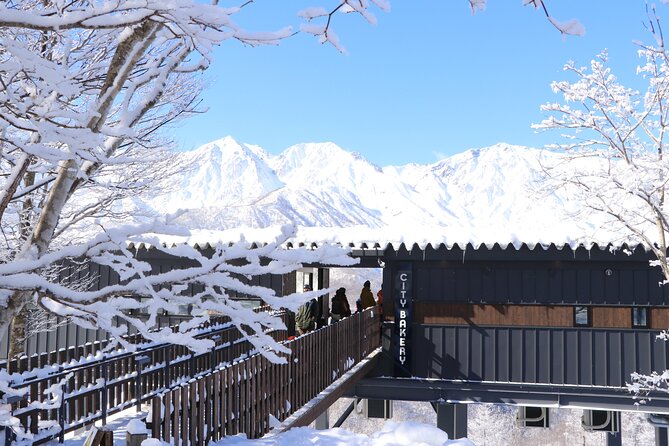 Hakuba Iwatake Snowfield 1 Day Lift Pass,Gear and Clothing Rental - Rental Shop Information