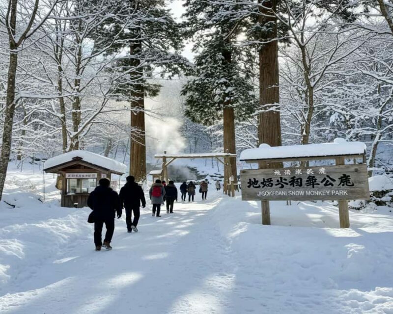 Hakuba: Snow Monkeys and Alpine Escape Private Tour - Who Is This Tour Best For?