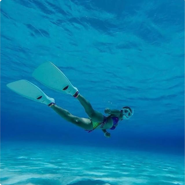 Hakuna Matata Airport Transfer & Tour - Additional Considerations