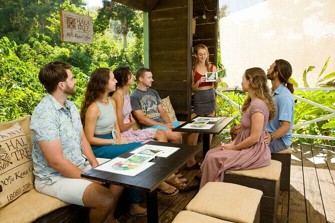 Hala Tree Coffee Farm Tour - The Itinerary: What to Expect Step-by-Step