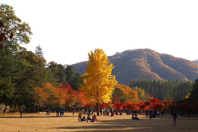 Halal - Central Mosque/Nami Island/Sheep Ranch /Morning Calm - Inclusions