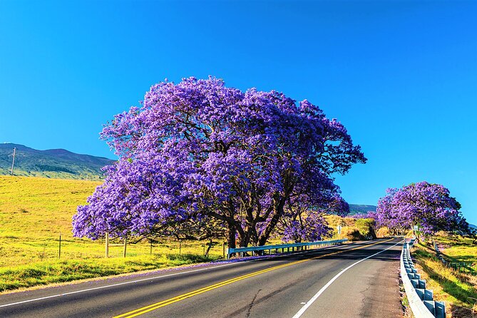 Haleakala Classic Summit Tour With Haleakala Ecotours (Vehicle Tour) - Tour Duration