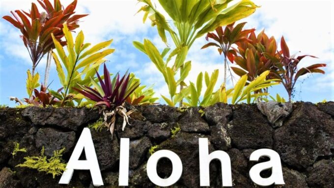 Haleakala Daytime Self-Guided Express Bike Tour W/ Bike Maui - Reserve Now and Pay Later