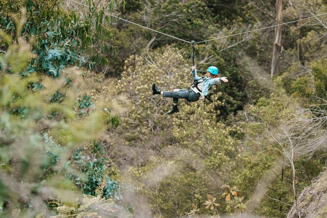 Haleakala National Park Sunrise and Zipline Tour - Traveler Reviews and Experiences