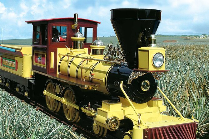 Haleiwa Express & Dole Plantation - Highlights of the Experience