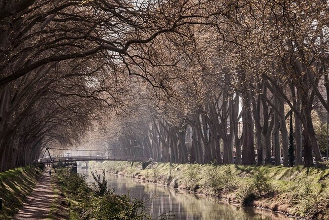 Half a Day Electric Bike Ride Around Toulouse - Participant Requirements
