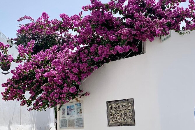 Half a Day in Sidi Bousaid From Hammamet - Traveler Experiences and Feedback