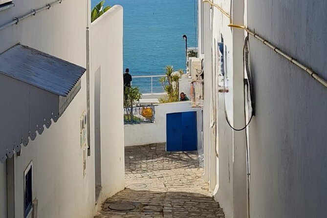 Half a Day in Sidi Bousaid From Hammamet - Charm of Sidi Bousaid