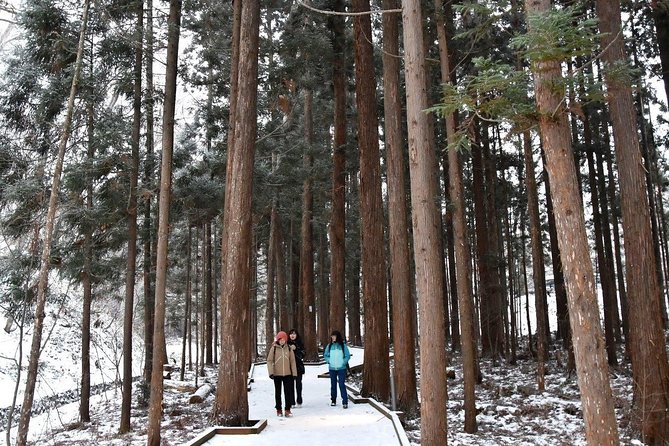 Half-Day (4 Hours) Sapporo City Tour - Pickup and Drop-off
