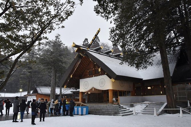 Half-Day (4 Hours) Sapporo City Tour - Tour Highlights
