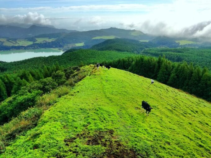 Half-Day 4X4 Tour Sete Cidades. off the Beaten Track. - Off-Road Exploration