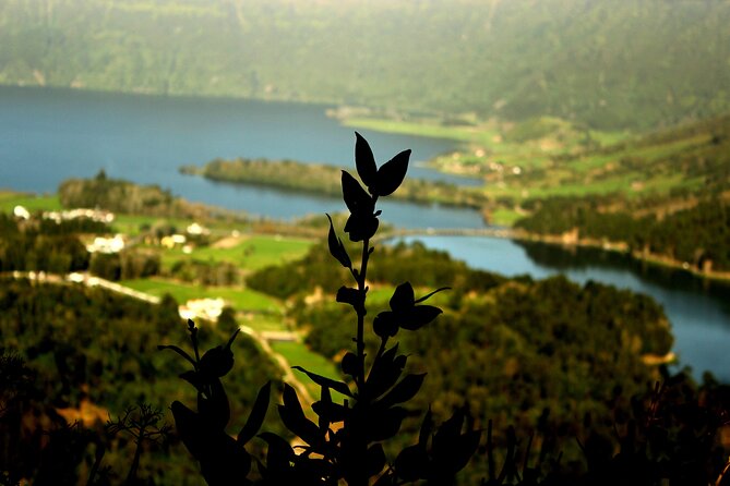 Half-Day 4x4 Tour to Lagoa Das Sete Cidades - Additional Information and Accessibility