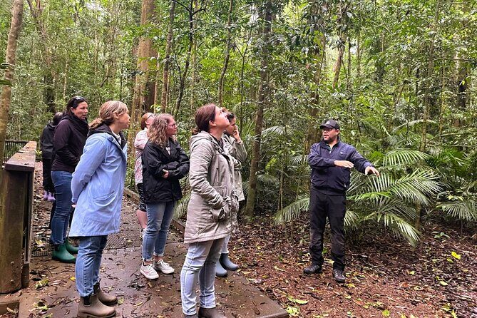 Half-Day Aboriginal Tour Atherton Tablelands - A Balanced Look at the Half-Day Aboriginal Tour