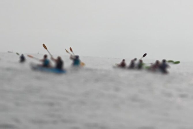Half Day Activity Kayak Excursion in Ibiza - Safety Considerations