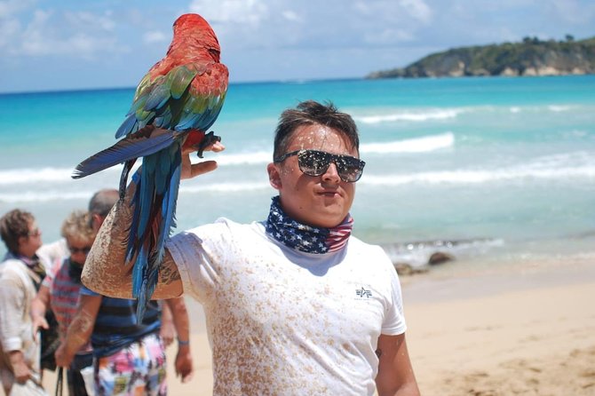 Half Day Adventure 4X4, ATV, Visit Macao Beach and a River Cave - Tour Overview