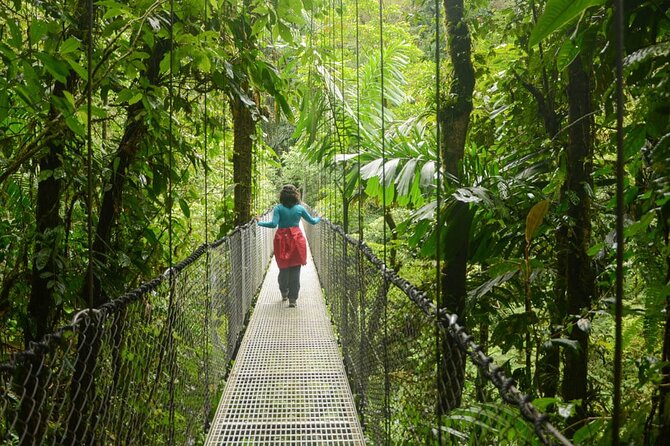 Half Day Adventure From Arenal -2 Tours in 1, 4 Options to Choose - Tour Highlights
