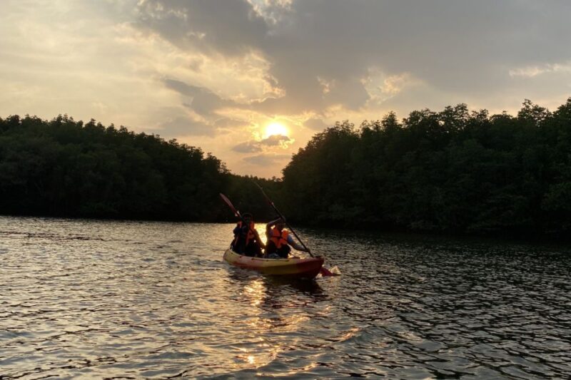 Half Day Adventure Kayaking at Mangrove Forest - Key Points
