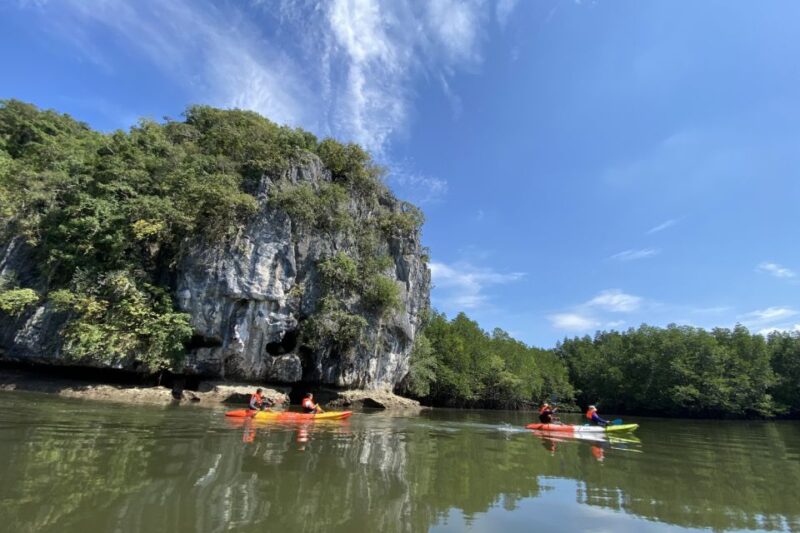 Half Day Adventure Kayaking at Mangrove Forest - Itinerary Highlights