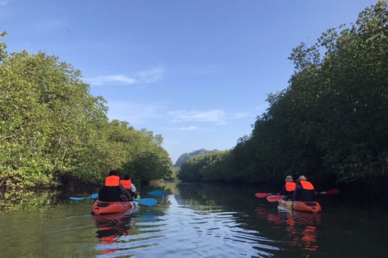 Half Day Adventure Kayaking at Mangrove Forest - Inclusions