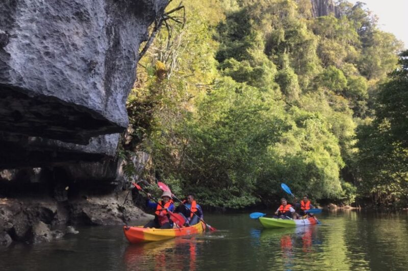Half Day Adventure Kayaking at Mangrove Forest - Pickup and Drop-off