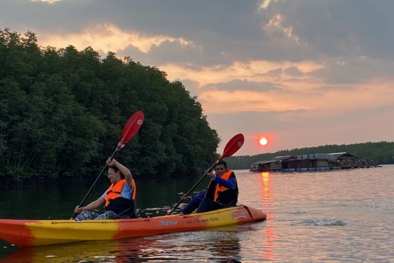Half Day Adventure Kayaking at Mangrove Forest - Frequently Asked Questions