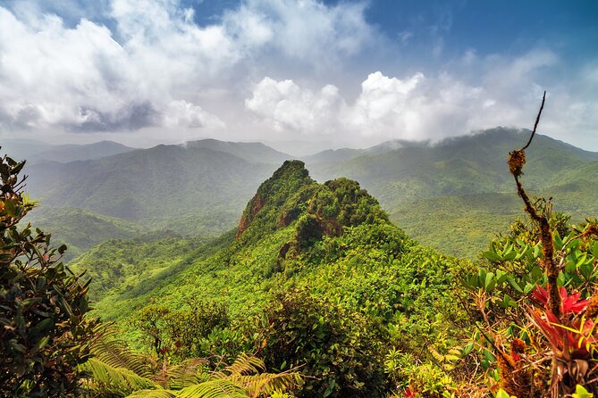 Half Day Adventure Private Tour in El Yunque Rainforest - About Your Stay